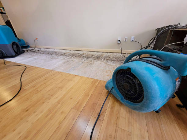 Professional Water Damage Repair technician working in Florida, FL